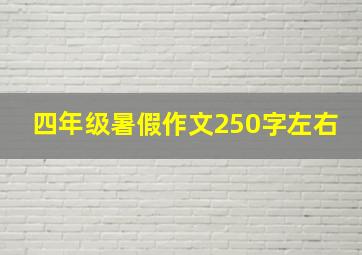 四年级暑假作文250字左右