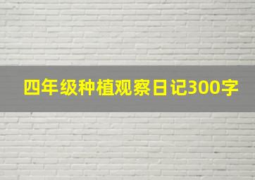 四年级种植观察日记300字