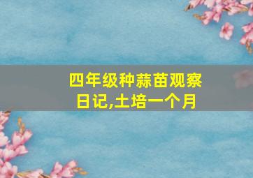 四年级种蒜苗观察日记,土培一个月