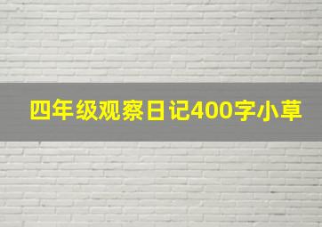 四年级观察日记400字小草