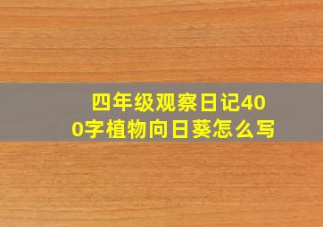 四年级观察日记400字植物向日葵怎么写