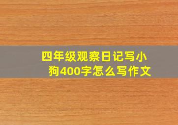 四年级观察日记写小狗400字怎么写作文