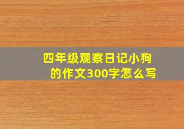 四年级观察日记小狗的作文300字怎么写