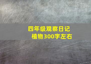 四年级观察日记植物300字左右