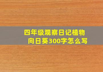 四年级观察日记植物向日葵300字怎么写