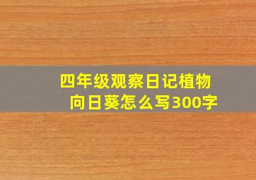 四年级观察日记植物向日葵怎么写300字