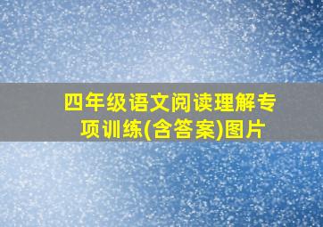 四年级语文阅读理解专项训练(含答案)图片