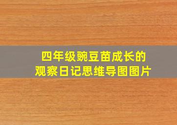 四年级豌豆苗成长的观察日记思维导图图片