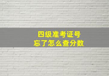 四级准考证号忘了怎么查分数