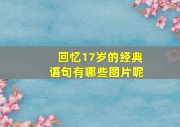 回忆17岁的经典语句有哪些图片呢