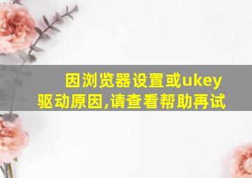 因浏览器设置或ukey驱动原因,请查看帮助再试