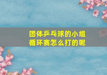 团体乒乓球的小组循环赛怎么打的呢