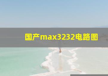 国产max3232电路图