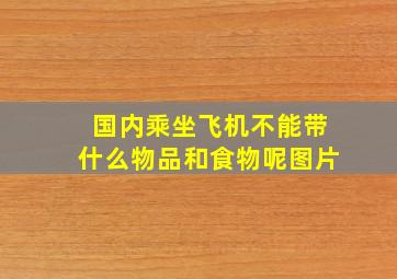 国内乘坐飞机不能带什么物品和食物呢图片