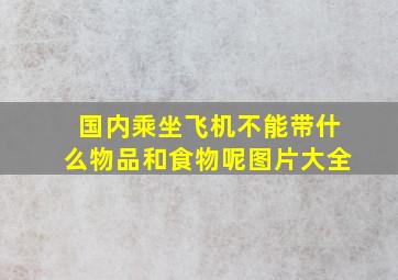 国内乘坐飞机不能带什么物品和食物呢图片大全