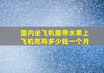 国内坐飞机能带水果上飞机吃吗多少钱一个月