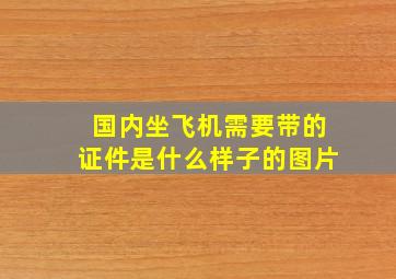 国内坐飞机需要带的证件是什么样子的图片