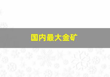 国内最大金矿