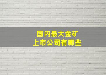 国内最大金矿上市公司有哪些