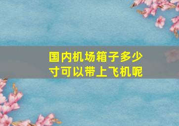 国内机场箱子多少寸可以带上飞机呢