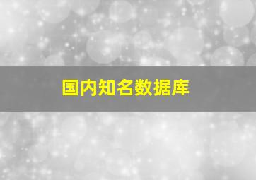 国内知名数据库