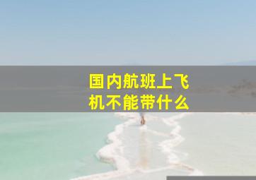 国内航班上飞机不能带什么