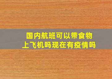 国内航班可以带食物上飞机吗现在有疫情吗