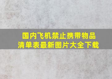 国内飞机禁止携带物品清单表最新图片大全下载