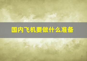 国内飞机要做什么准备