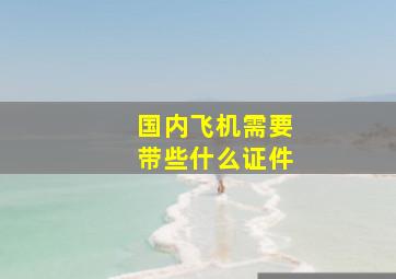 国内飞机需要带些什么证件