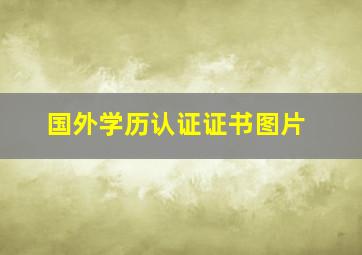 国外学历认证证书图片