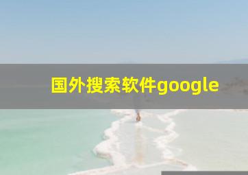 国外搜索软件google