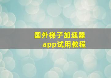 国外梯子加速器app试用教程