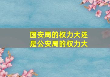 国安局的权力大还是公安局的权力大