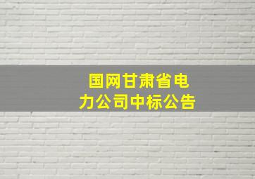 国网甘肃省电力公司中标公告