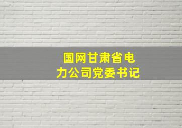 国网甘肃省电力公司党委书记