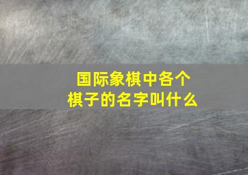 国际象棋中各个棋子的名字叫什么