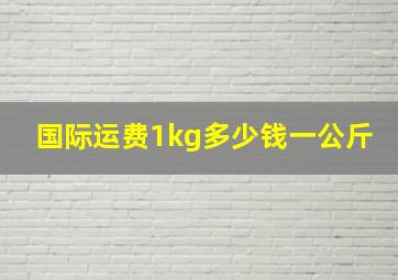 国际运费1kg多少钱一公斤