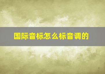 国际音标怎么标音调的