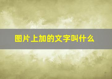 图片上加的文字叫什么