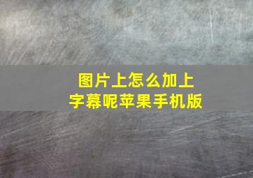 图片上怎么加上字幕呢苹果手机版