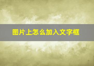 图片上怎么加入文字框