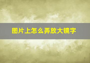 图片上怎么弄放大镜字