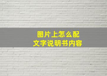 图片上怎么配文字说明书内容