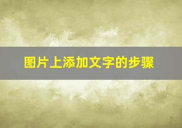 图片上添加文字的步骤