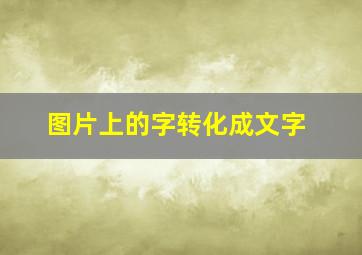 图片上的字转化成文字