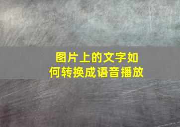 图片上的文字如何转换成语音播放