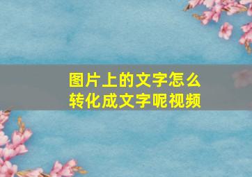 图片上的文字怎么转化成文字呢视频