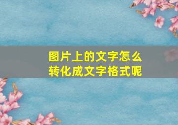 图片上的文字怎么转化成文字格式呢