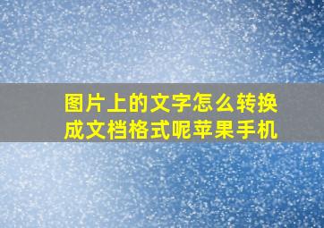 图片上的文字怎么转换成文档格式呢苹果手机